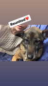 emily_new2 Altpins Profile Picture