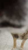 emily_new2 Altpins Profile Picture