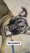 emily_new2 Altpins Profile Picture