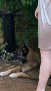 emily_new2 Altpins Profile Picture
