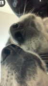 emily_new2 Altpins Profile Picture