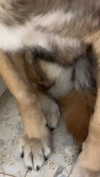 emily_new2 Altpins Profile Picture