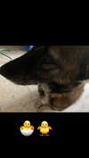 emily_new2 Altpins Profile Picture