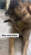 emily_new2 Altpins Profile Picture