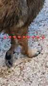 emily_new2 Altpins Profile Picture