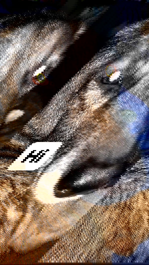 emily_new2 emily_new2 archive image