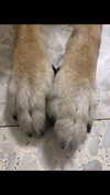 emily_new2 Altpins Profile Picture
