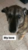 emily_new2 Altpins Profile Picture