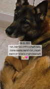 emily_new2 Altpins Profile Picture