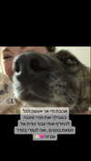 emily_new2 Altpins Profile Picture