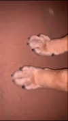 emily_new2 Altpins Profile Picture