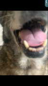 emily_new2 Altpins Profile Picture
