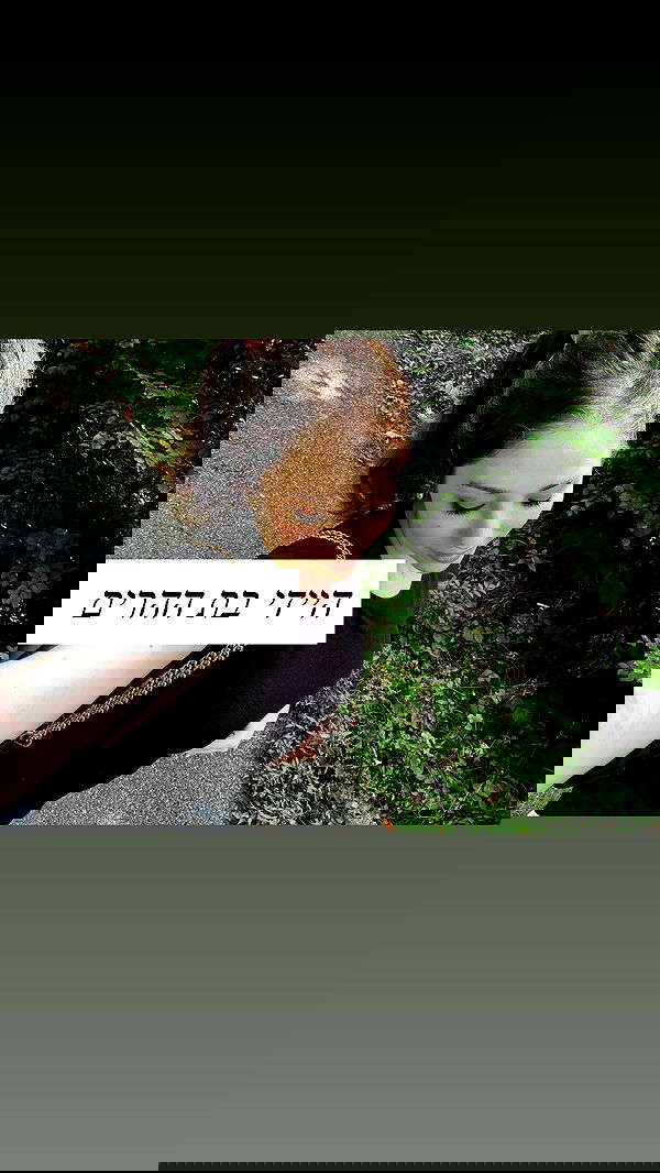 emily_new2 emily_new2 archive image