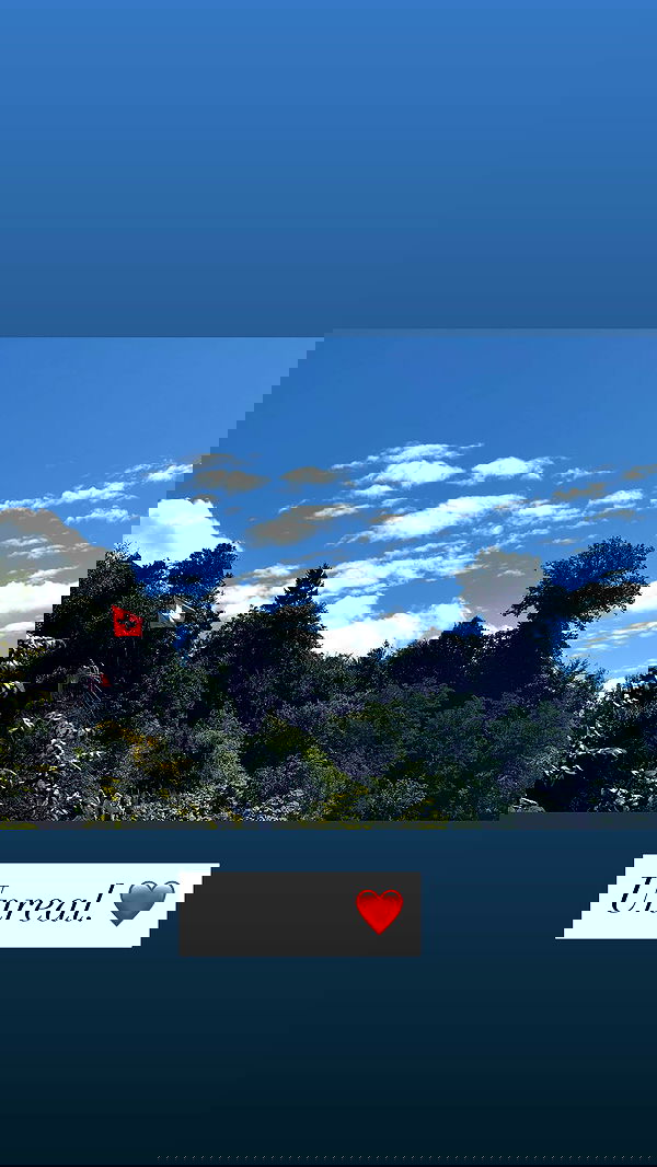 emily_new2 emily_new2 archive image