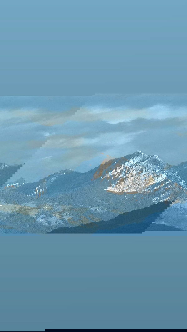 emily_new2 emily_new2 archive image