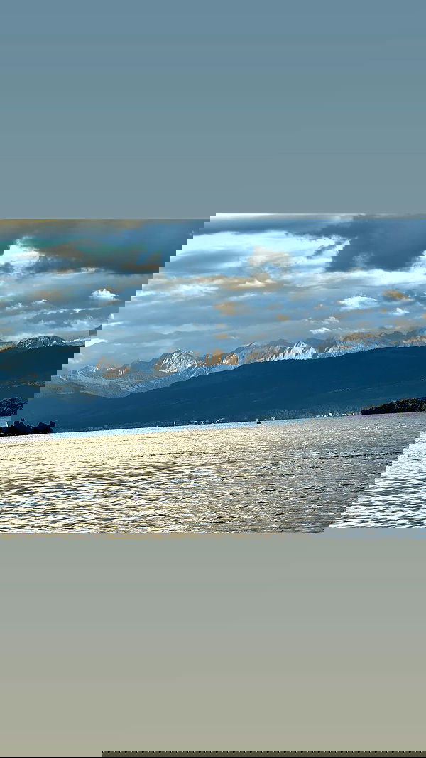 emily_new2 emily_new2 archive image