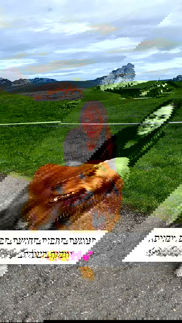 emily_new2 emily_new2 archive image