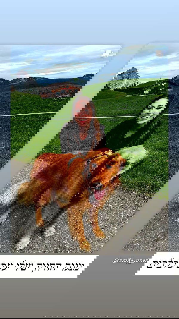 emily_new2 emily_new2 archive image