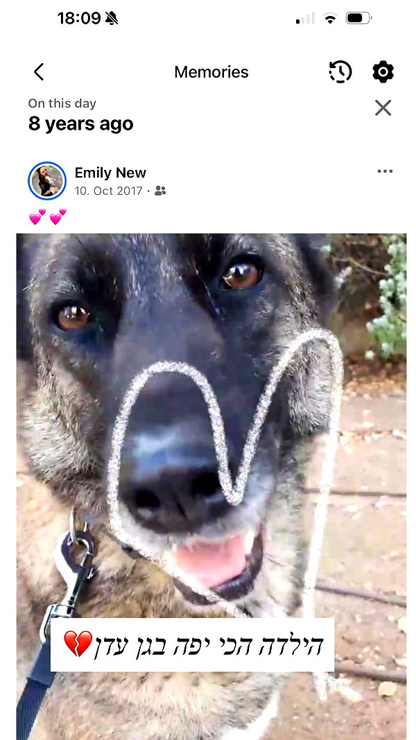 emily_new2 instagram image archive image
