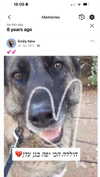 emily_new2 Altpins Profile Picture