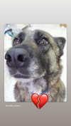 emily_new2 Altpins Profile Picture