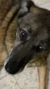 emily_new2 Altpins Profile Picture