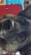 emily_new2 Altpins Profile Picture