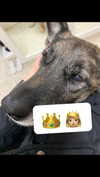 emily_new2 Altpins Profile Picture