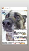 emily_new2 Altpins Profile Picture