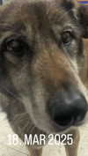 emily_new2 Altpins Profile Picture