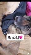 emily_new2 Altpins Profile Picture