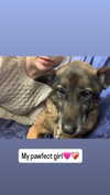emily_new2 Altpins Profile Picture