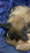 emily_new2 Altpins Profile Picture