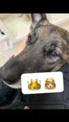 emily_new2 Altpins Profile Picture