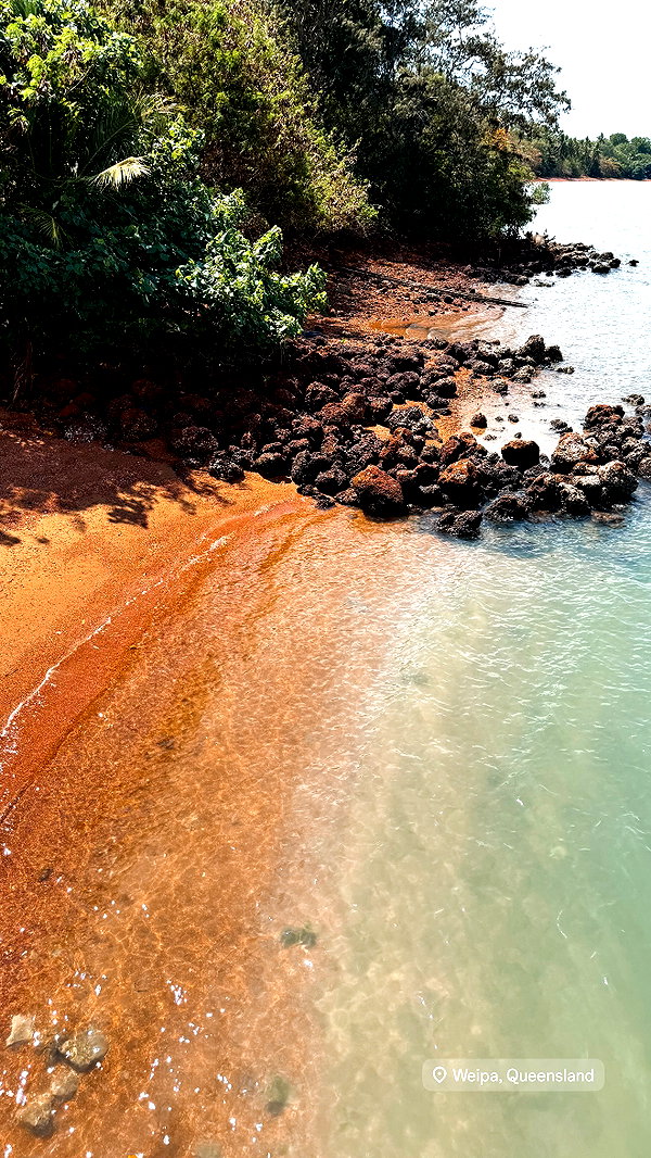 emilyymcwilliam emilyymcwilliam archive image