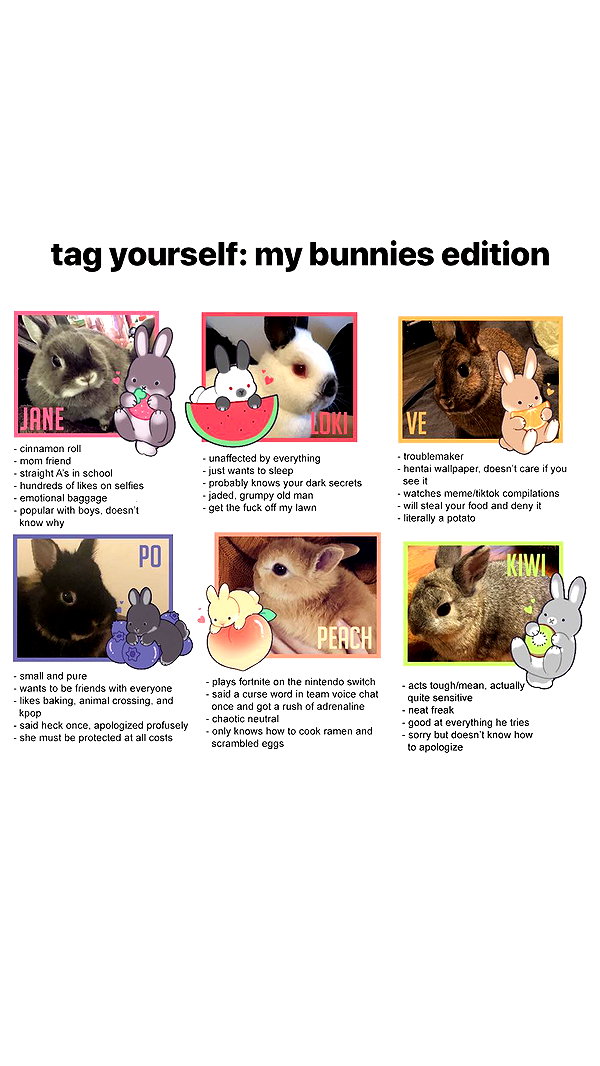 emiru.jpg emiru.jpg archive image