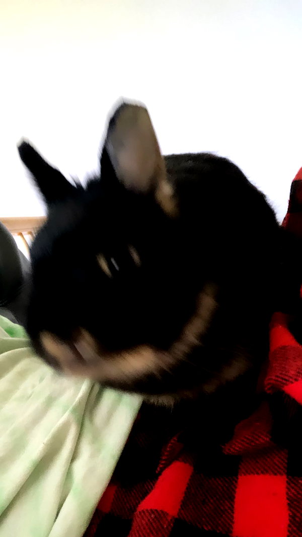 emiru.jpg emiru.jpg archive image