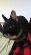 emiru.jpg Altpins Profile Picture