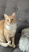 emmi.botta Altpins Profile Picture