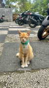 emmmarshalll Altpins Profile Picture