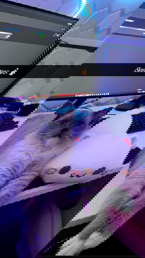 emxllouise2 image ~ Altpins