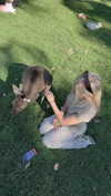 emxllouise2 Altpins Profile Picture
