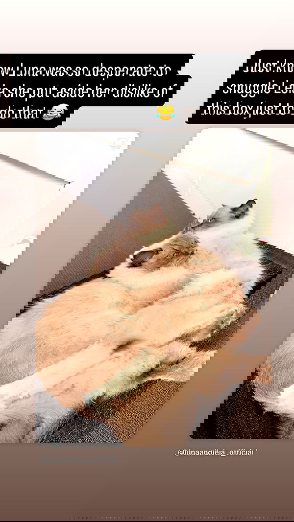 emxllouise2 image ~ Altpins