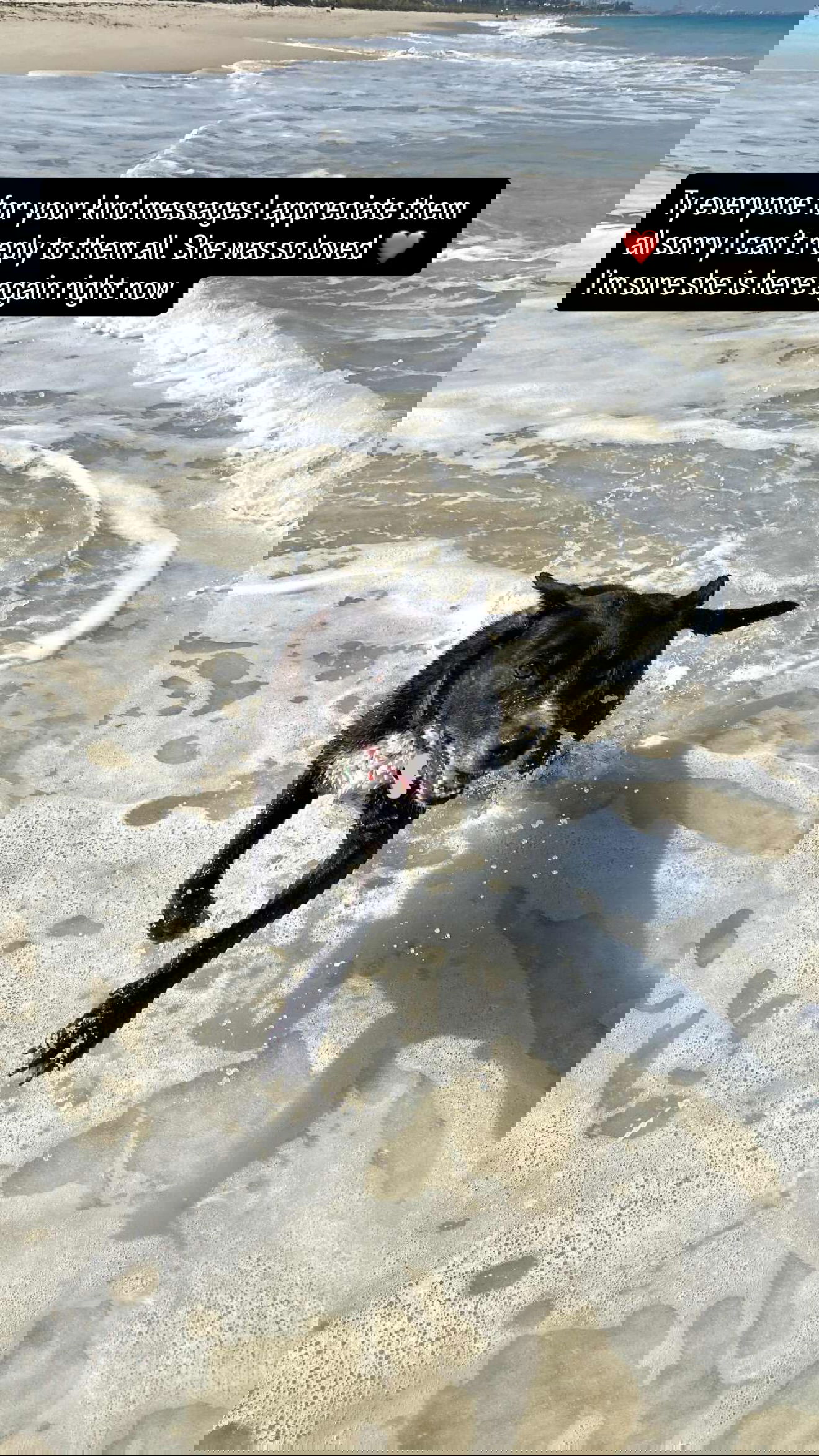 emxllouise2 instagram image archive image