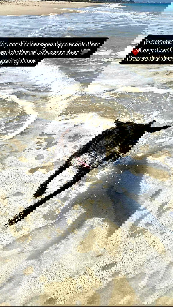 emxllouise2 image ~ Altpins