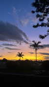 epppuni Altpins Profile Picture