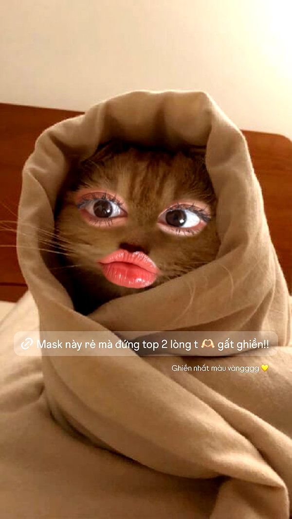 esmenguyennn esmenguyennn archive image