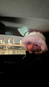 estherbarbarosh Altpins Profile Picture