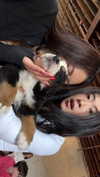 estherryeon Altpins Profile Picture