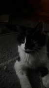 estr3iia Altpins Profile Picture